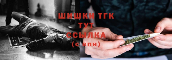 крисы Богородск