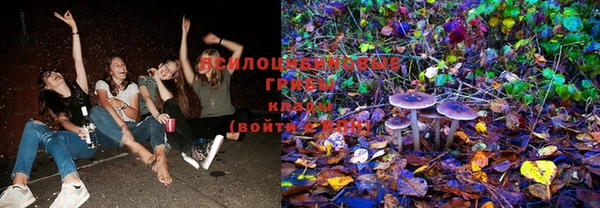 кокс Богданович