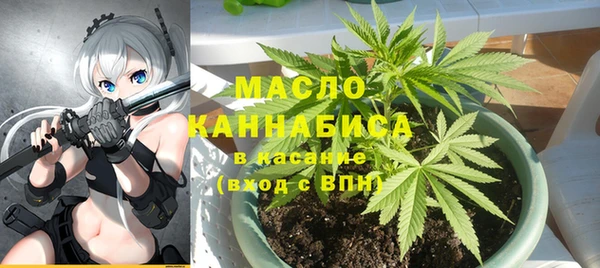 крисы Богородск