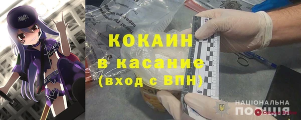 крисы Богородск