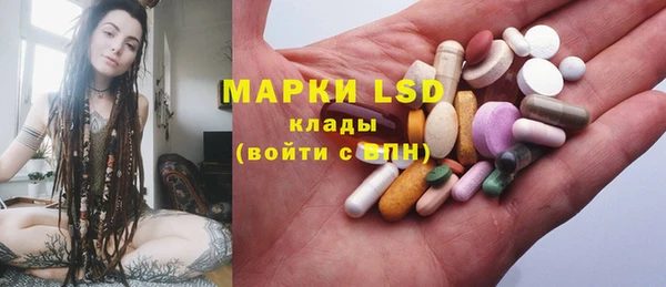 крисы Богородск